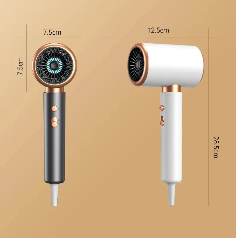 HOMEFISH 2000W Salon Hair Dryer with Hot/Cold Air Brush Negative Ionic Technology 5th Gear Strong Power Hairdryer without Comb
