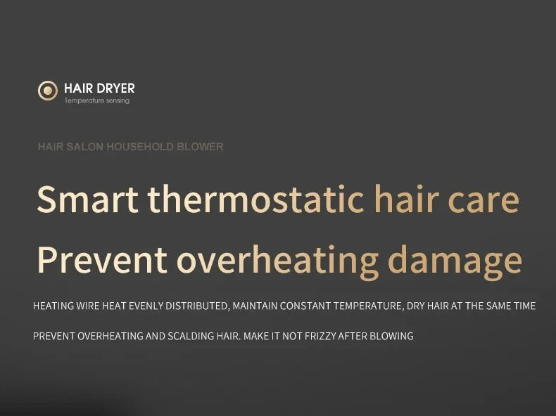 HOMEFISH 2000W Salon Hair Dryer with Hot/Cold Air Brush Negative Ionic Technology 5th Gear Strong Power Hairdryer without Comb